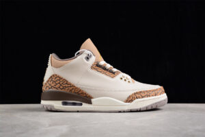Air Jordan 3 "Palomino" AJ3 CT8532-102