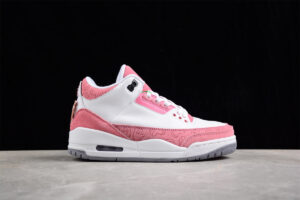 Air Jordan 3 Retro  CK9246-981