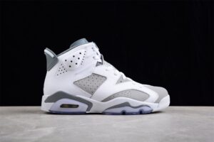 Air Jordan 6 "Cool Grey" AJ6 CT8529-100