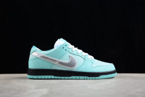 Concepts x Nk SB Dunk Low BV1310-402