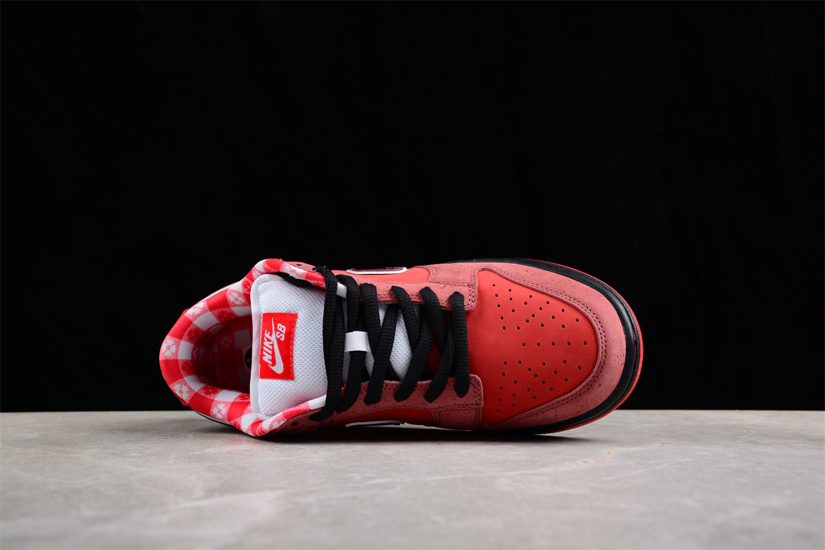 Concepts x Nk SB Dunk Low "Red Lobster" 313170-661 - Image 5