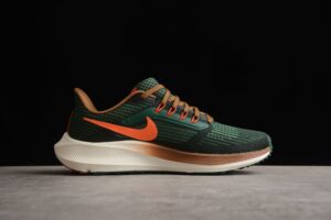 Nike Air Zoom Pegasus 39 A.I.R. Hola Lou