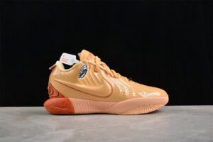 Nk LeBron XXI EP FV2346-800