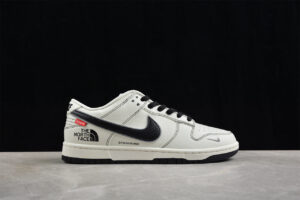 Nk SB Dunk Low Supreme x The North Face BM0234-501