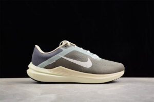 Nk Zoom Winflo 10 FN7499-029